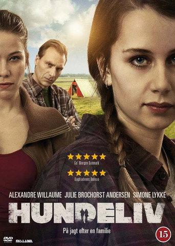 Where Have All the Good Men Gone (2016) poster