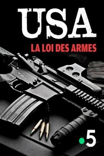 The US and Their Guns: An American Story (2019) poster