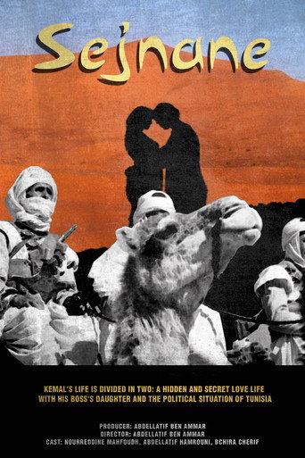 Sejnane (1974) poster