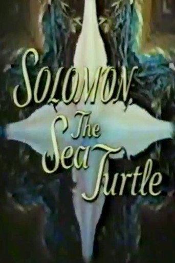 Solomon, the Sea Turtle (1969) poster
