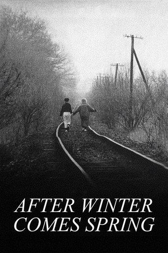 After Winter Comes Spring (1989) poster