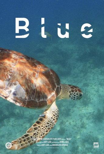 Blue () poster