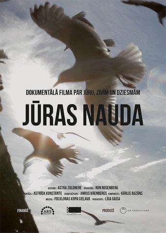 Treasures Of The Sea (2013) poster