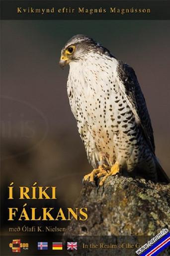 In the Realm of the Gyr Falcon (2009) poster