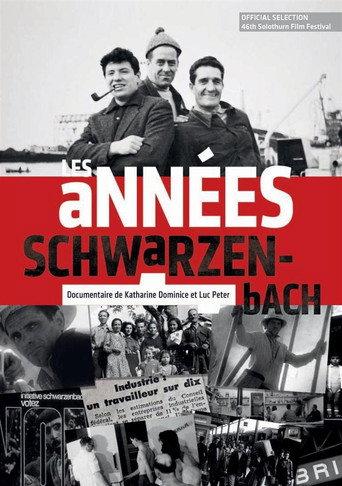 Les années Schwarzenbach (2010) poster