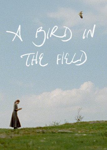 A Bird in the Field () poster