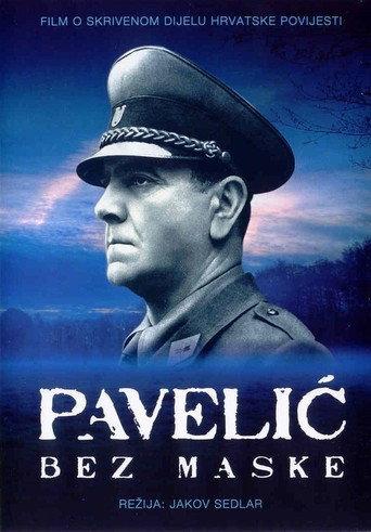 Pavelić Unmasked (2009) poster