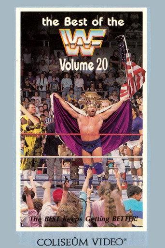 The Best of the WWF: volume 20 (1989) poster
