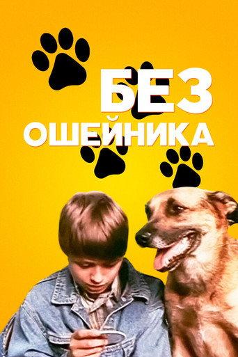 Without a Collar (1995) poster