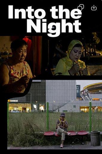 Into the Night (2014) poster