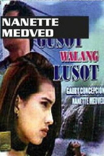 Kapag May Gusot... Walang Lusot (1993) poster