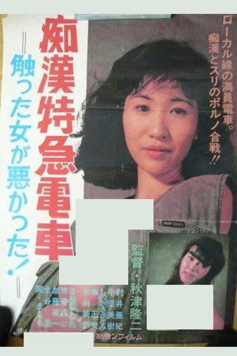 The Molester Express: It's the Woman's Own Fault She Got Touched! (1984) poster