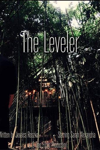 The Leveler () poster