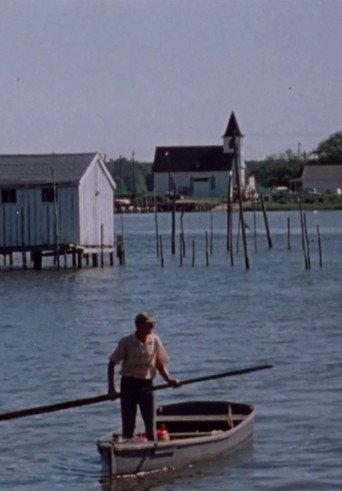 Mermaids, Frog Legs, and Fillets (1978) poster
