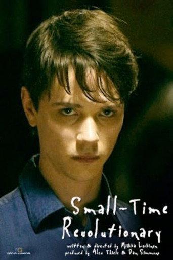 Small-Time Revolutionary (2010) poster