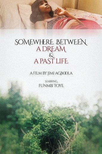 Somewhere Between a Dream and a Past Life () poster