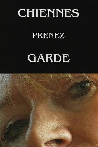 Chiennes, prenez garde ! (1999) poster