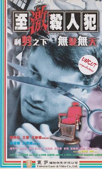 Mad Stylist (1997) poster