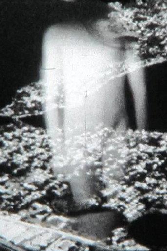 Conjectures (2013) poster