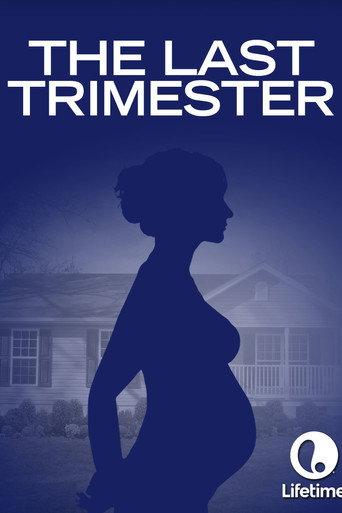 The Last Trimester (2007) poster