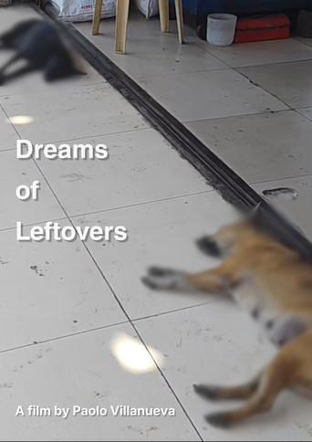 Dreams of Leftovers () poster