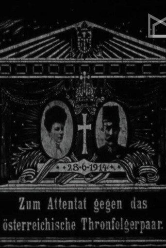 Zum Attentat gegen das österreichische Thronfolgerpaar (1914) poster