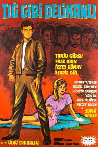 Tığ Gibi Delikanlı (1964) poster