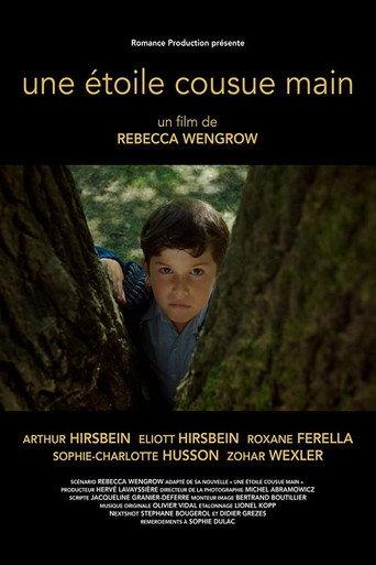 A Hand Sewn Star (2018) poster