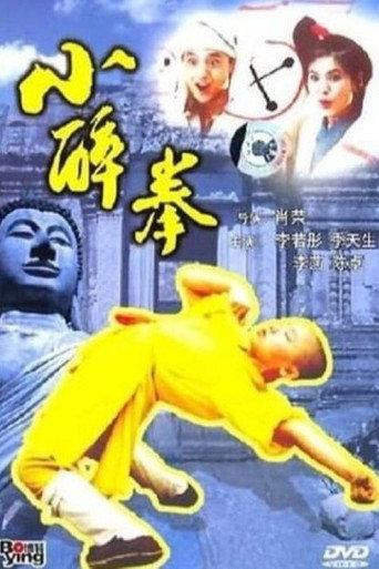 The Little Drunken Masters (1995) poster