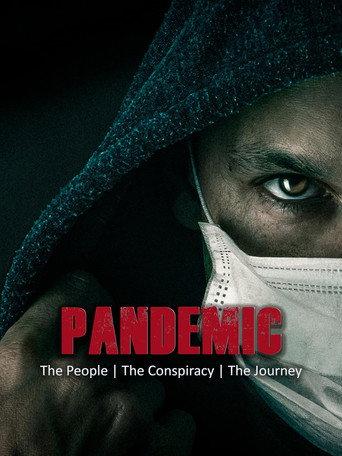 Pandemic: The People, The Conspiracy, The Journey (2020) poster