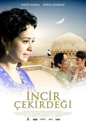 İncir Çekirdeği (2009) poster