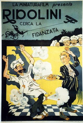 The Suitor (1920) poster
