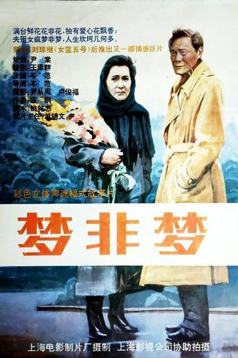 梦非梦 (1993) poster