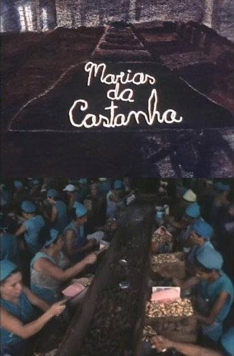 Marias da Castanha (1983) poster