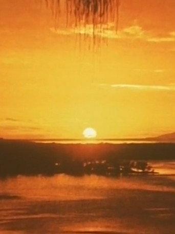 Artificial Paradise (1975) poster