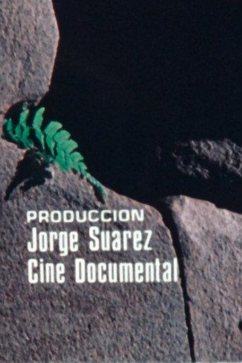 Flora de Machu Picchu (1980) poster
