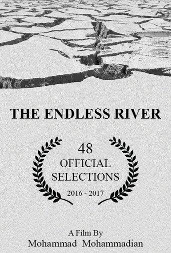 The Endless River (2016) poster