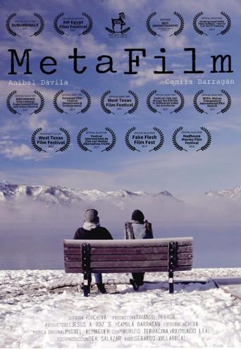 MetaFilm (2017) poster