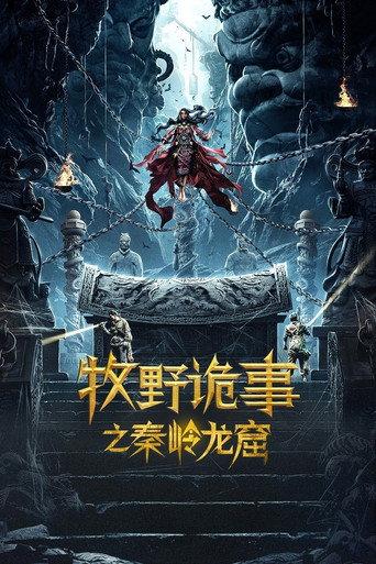 Mystery of Muye: Qinling Dragon Grottoes (2020) poster