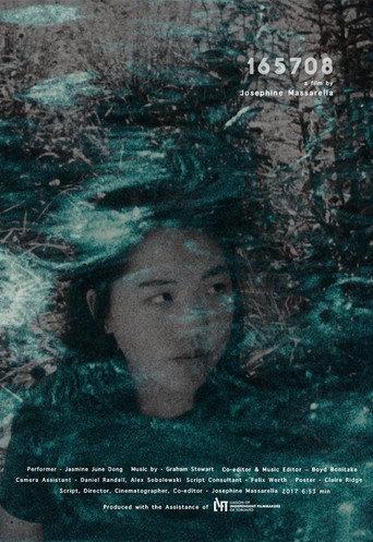 165708 (2017) poster