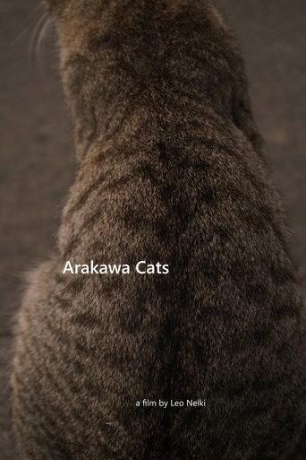 Arakawa Cats () poster