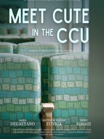 Meet Cute In the CCU (2026) poster