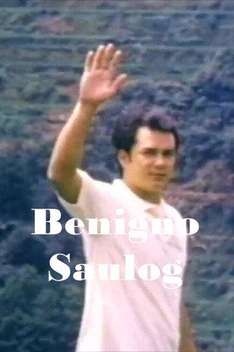 Benigno Saulog (1996) poster