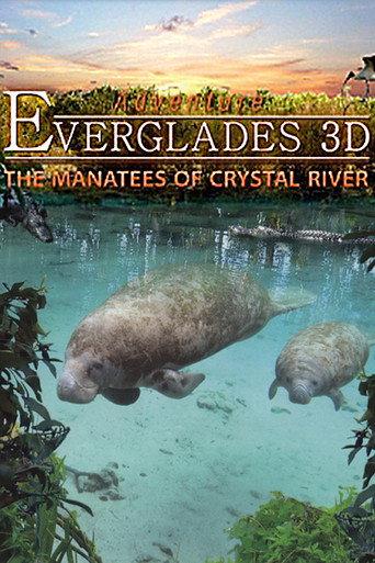 Adventure Everglades 3D - The Manatees of Crystal River (2012) poster