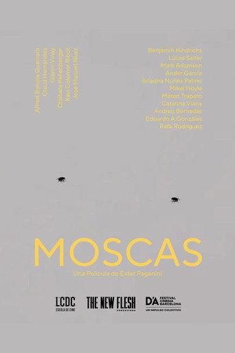Moscas () poster