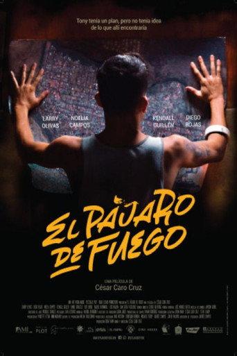 Bird of Fire (2021) poster