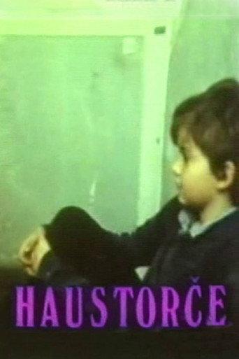 Small Doorway (1987) poster