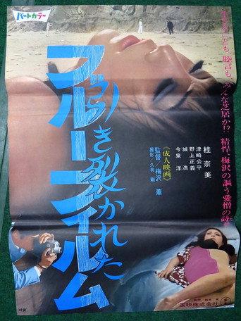 Hikisakareta burū firumu (1969) poster