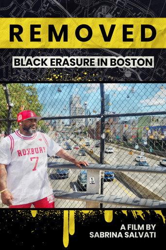 REMOVED: Black Erasure in Boston () poster