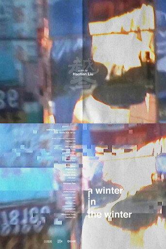A Winter in the Winter () poster